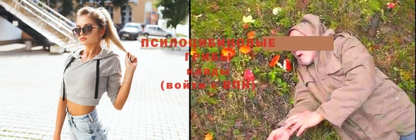 стаф Верхнеуральск